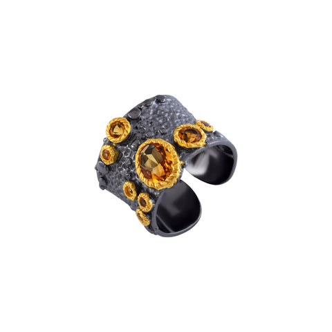 SC-091